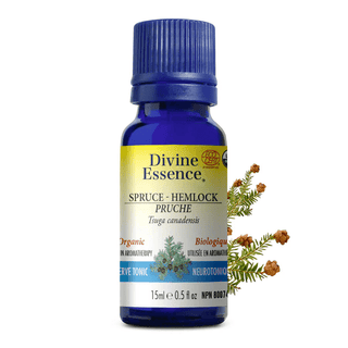 Divine essence - hemlock spruce organic