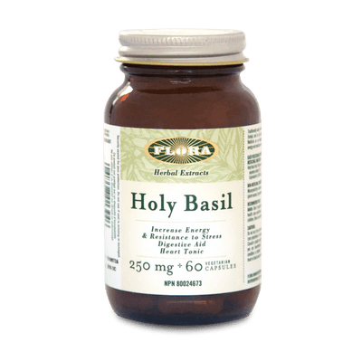 Holy Basil used as a heart tonic and to aid digestion Win in