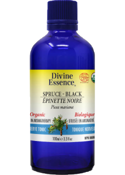 Divine essence - white spruce organic