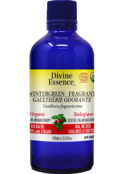 Divine essence - wintergreen fragrant  organic