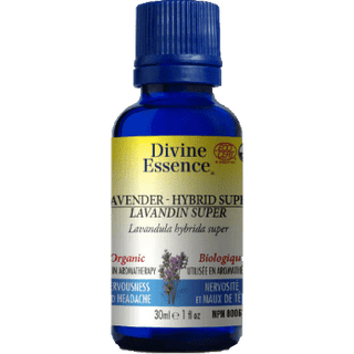 Divine essence - hybrid super lavandin organic