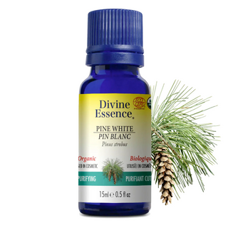 Divine essence - white pine organic