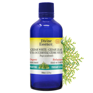 Divine essence - white cedar leaf organic