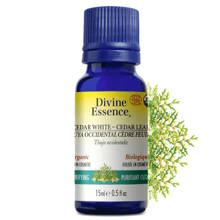 Divine essence - white cedar leaf organic