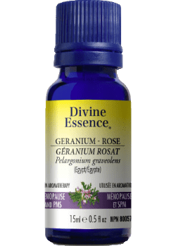 Divine essence - rose geranium egypt