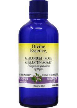 Divine essence - rose geranium egypt