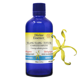 Divine essence - ylang ylang totum organic