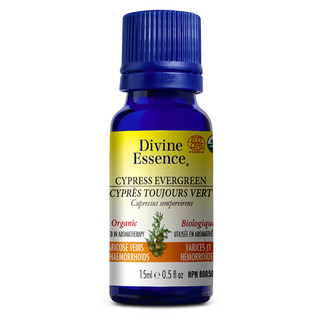 Divine essence - evergreen cypress organic