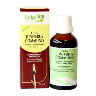 Herbalgem - g56 juniperus communis - 50 ml