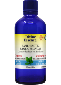 Divine essence - exotic basil organic