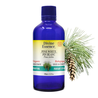 Divine essence - white pine organic