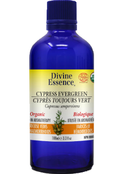 Divine essence - evergreen cypress organic