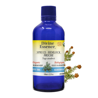 Divine essence - hemlock spruce organic