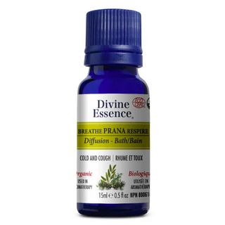 Divine essence - synergy breathe prana org