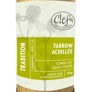 Clef des champs - yarrow - cut flower (tube) 50 g