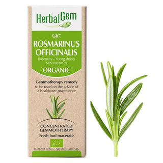 Herbalgem - g67 rosmarinus officinalis - 50 ml