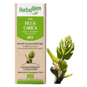 Herbalgem - g45 ficus carica - 15 ml