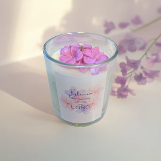 Lapo - candle blossom