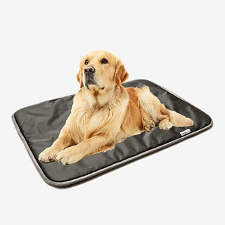 Magnetic Pet Pad